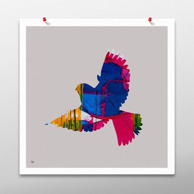 Turtle Dove Bird Art Print, Unframed