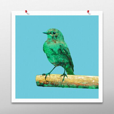 Opera d'arte Starling Bird, parte parete blu, stampa poster - senza cornice