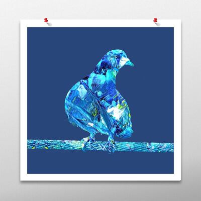 Pigeon Bird Artwork, Blue Wall Art, Poster Print - Unframed