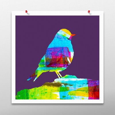 Opera d'arte di uccelli colorati, arte della parete viola, stampa poster - senza cornice