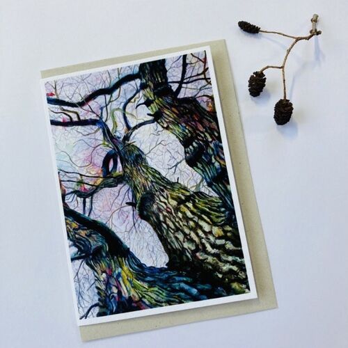 Old Oak Greetings Cards