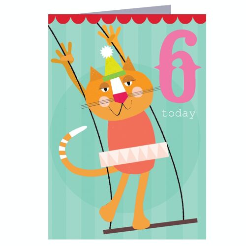 CZ12 Cat 6th Birthday Card
