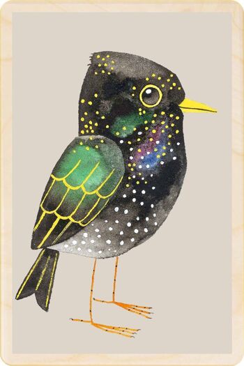 Carte postale en bois STARLING Bird Card 2