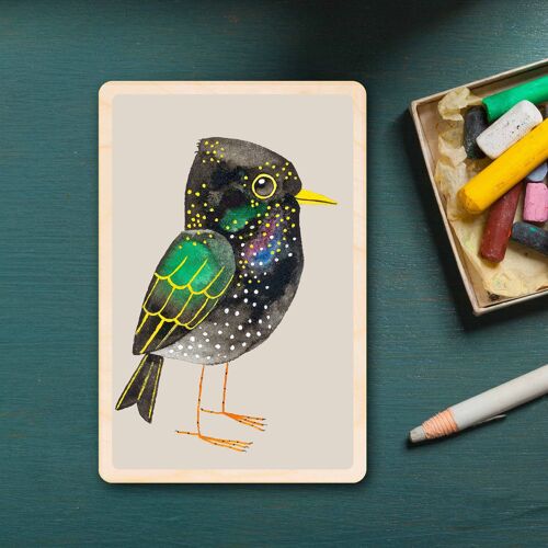 Wooden Postcard STARLING Bird Card