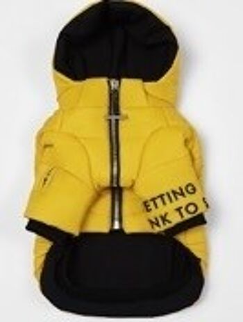 Veste de ski matelassée zippée avec capuche 3