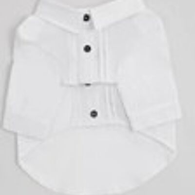Pleated Shirt (White)