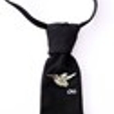 Necktie with Embroidery