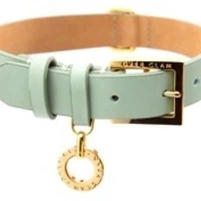 Premium Leather Collar