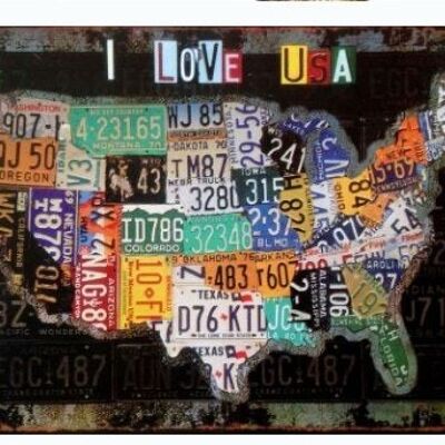 Targa metallica in rilievo 30X40 mappa degli USA