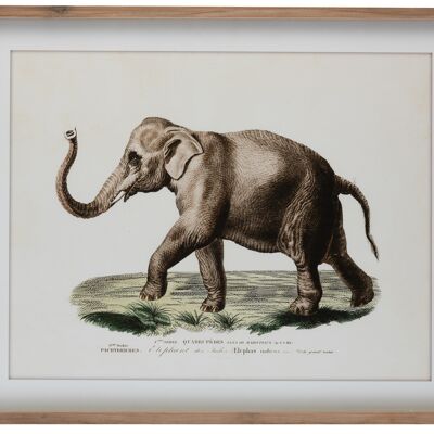 Cadre elephant bois/verre brun/blanc