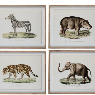Cadre animaux safari bois/verre brun assortiment de 4