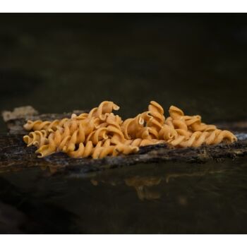 Mini fusilli à la tomate et à l'oignon - Pâtes sèches BIO 2