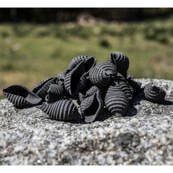 Conchiglie rigate à l'encre de seiche - Pâtes sèches 2