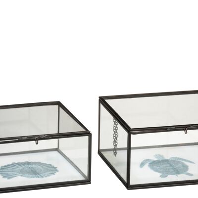 Set de 2 boite tortue/coquillage metal/verre noir/blanc/bleu