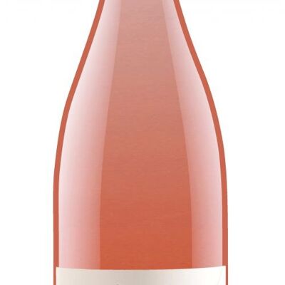 Bourgueil Rosé 2023