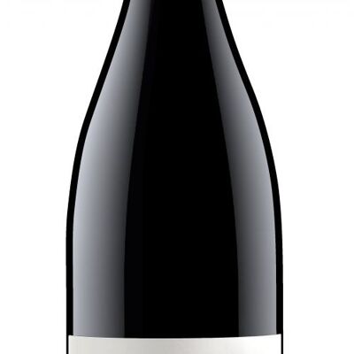 Bourgueil Old Vines 2020