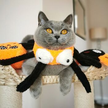 MyMeow Spooky Spider Collar - Jouet en peluche pour chat sur le thème d'Halloween 7