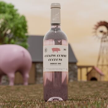 Copains comme cochon 2023 - Bordeaux rosé 3