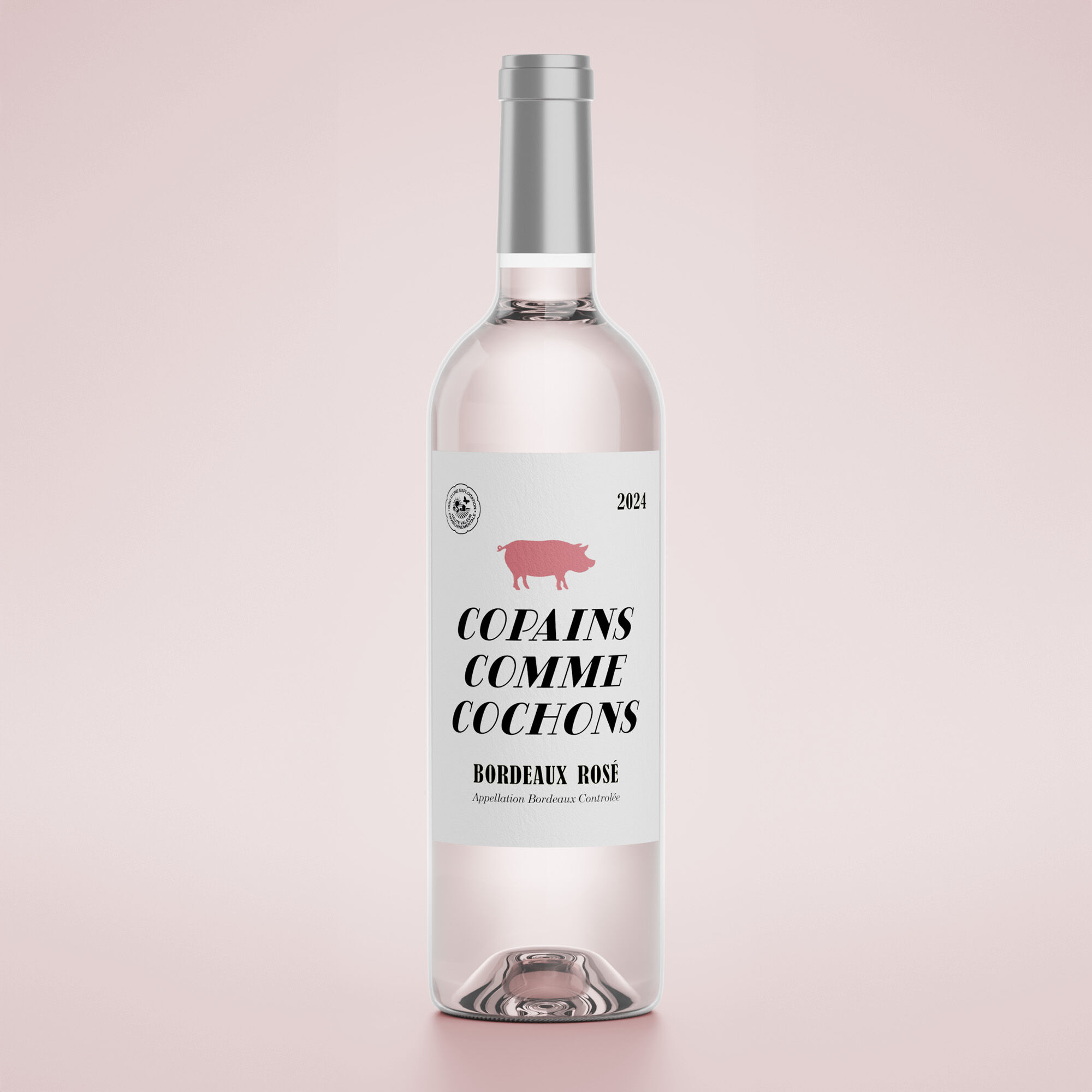 Buy wholesale Rosé wine - Best Friends - Bordeaux rosé - 2025