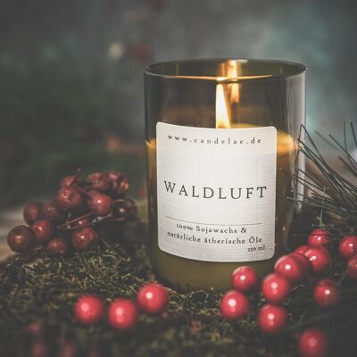 SCENTED CANDLE FOREST AIR