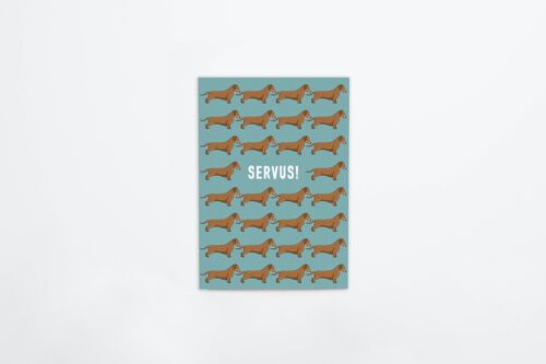 Postkarte aus dicker Bierdeckelpappe "Servus!", 1 VE = 10 Karten