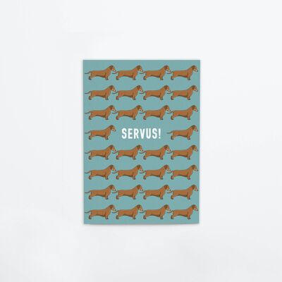 Carte postale en carton épais "Servus!", 1 UE = 10 cartes