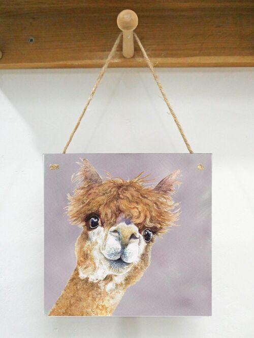 Hanging Art plaque, Wendy, Alpaca, Pinky background