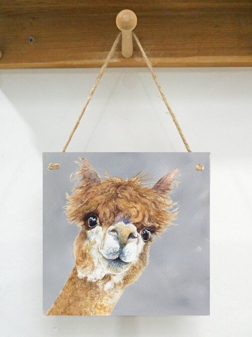 Hanging Art plaque, Wendy, Alpaca,