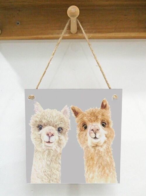 Hanging Art plaque, Jo-Jo & Jasper, Alpaca Pair