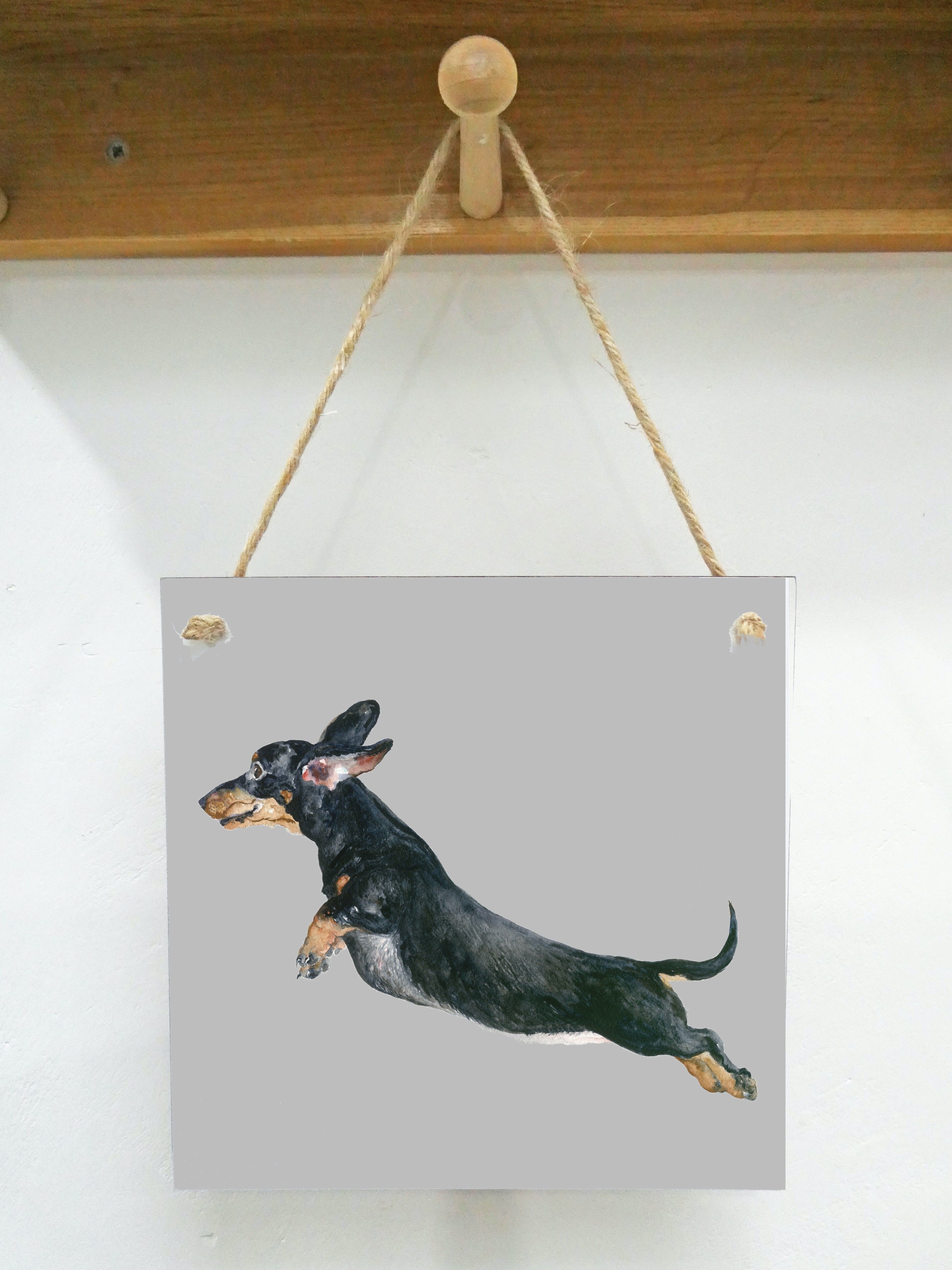 Placa de arte colgante, Freddy, Dachshund