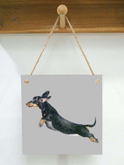 Hanging Art plaque, Freddy, Dachshund