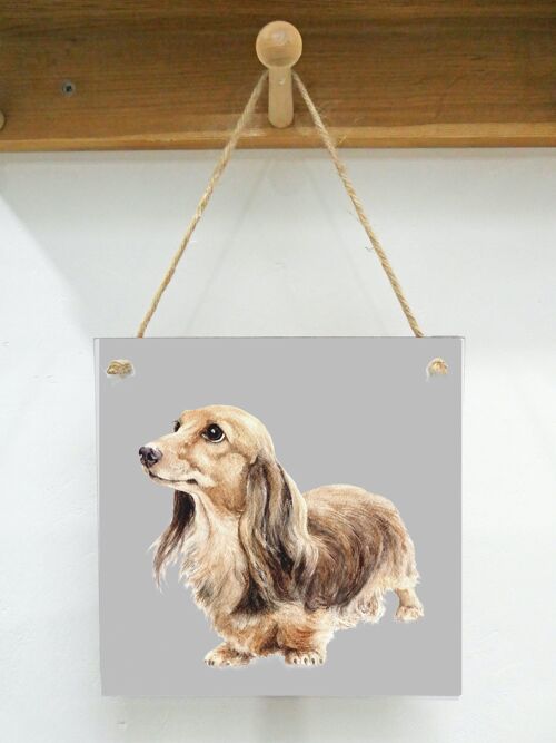 Hanging Art plaque, Lily, Dachshund