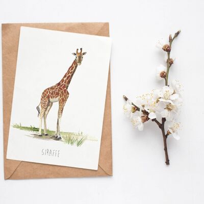 Giraffenkarte