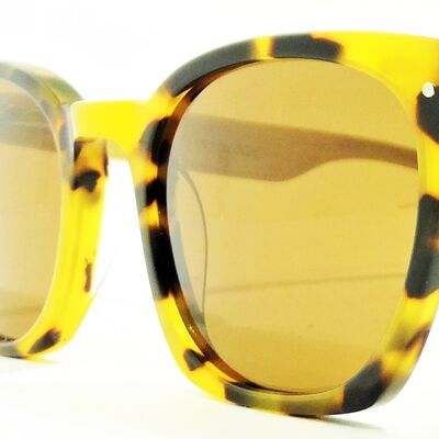 Sunglasses 201 -terranova - tortoise