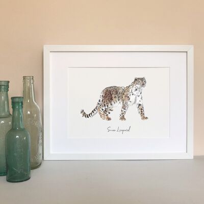 Snow Leopard Fine Art Print