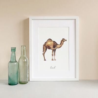 Kamel-Kunstdruck