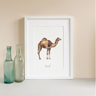 Kamel-Kunstdruck