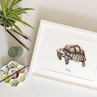 Schildkröte Kunstdruck
