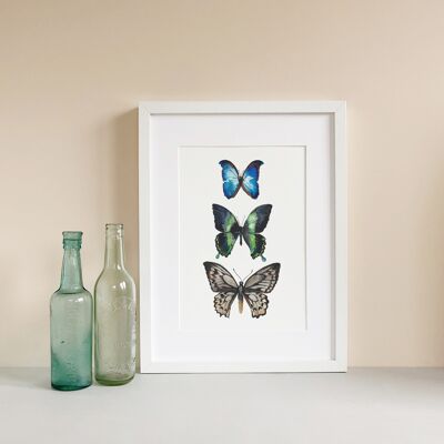 Stampa artistica di farfalle dell'acquerello