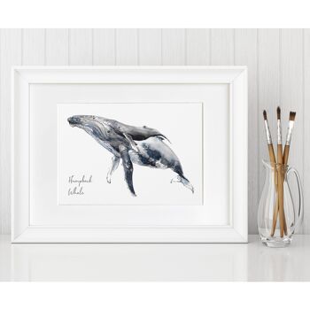 Baleines à bosse Fine Art Print