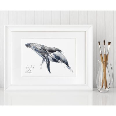 Hump back whales Fine Art Print