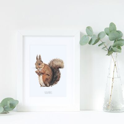 Eichhörnchen-Kunstdruck