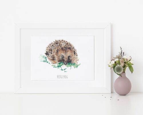 Hedgehog Art Print