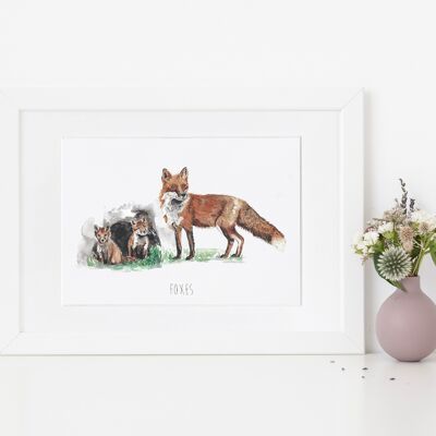 Foxes Art Print