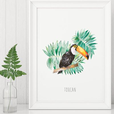 Toucan Print
