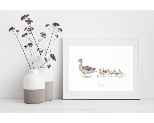 Duck family fine art print