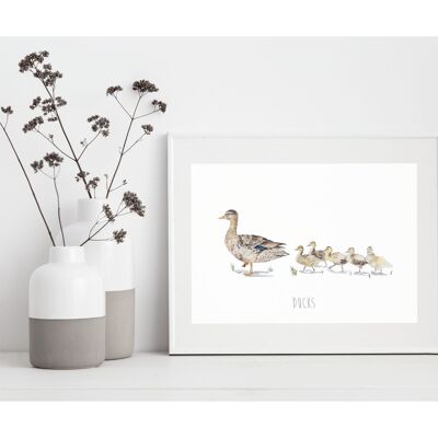 Duck family fine art print