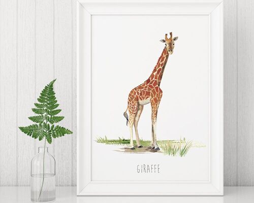 Giraffe Art Print