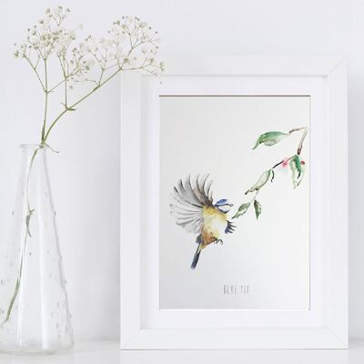 Blue Tit in Flight Art Print