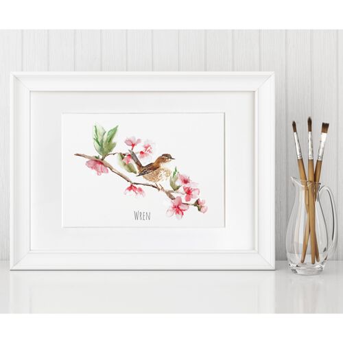 Wren and Blossom Art Print